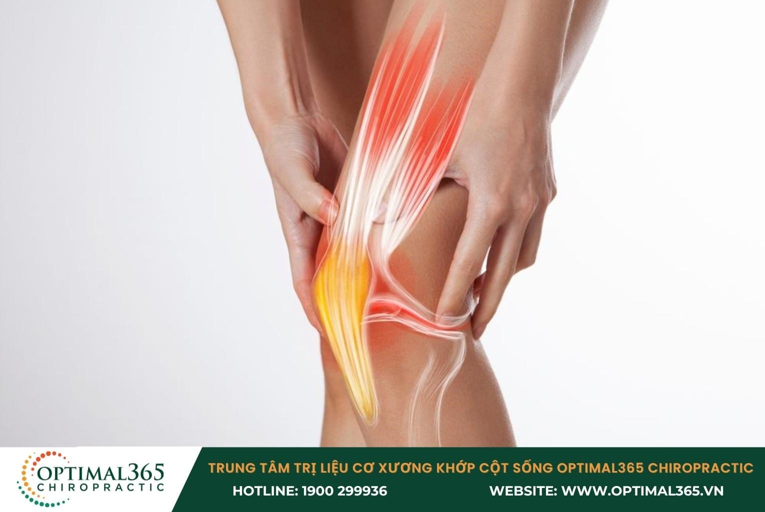 Tổn thương cơ bản: Chấn thương đầu gối