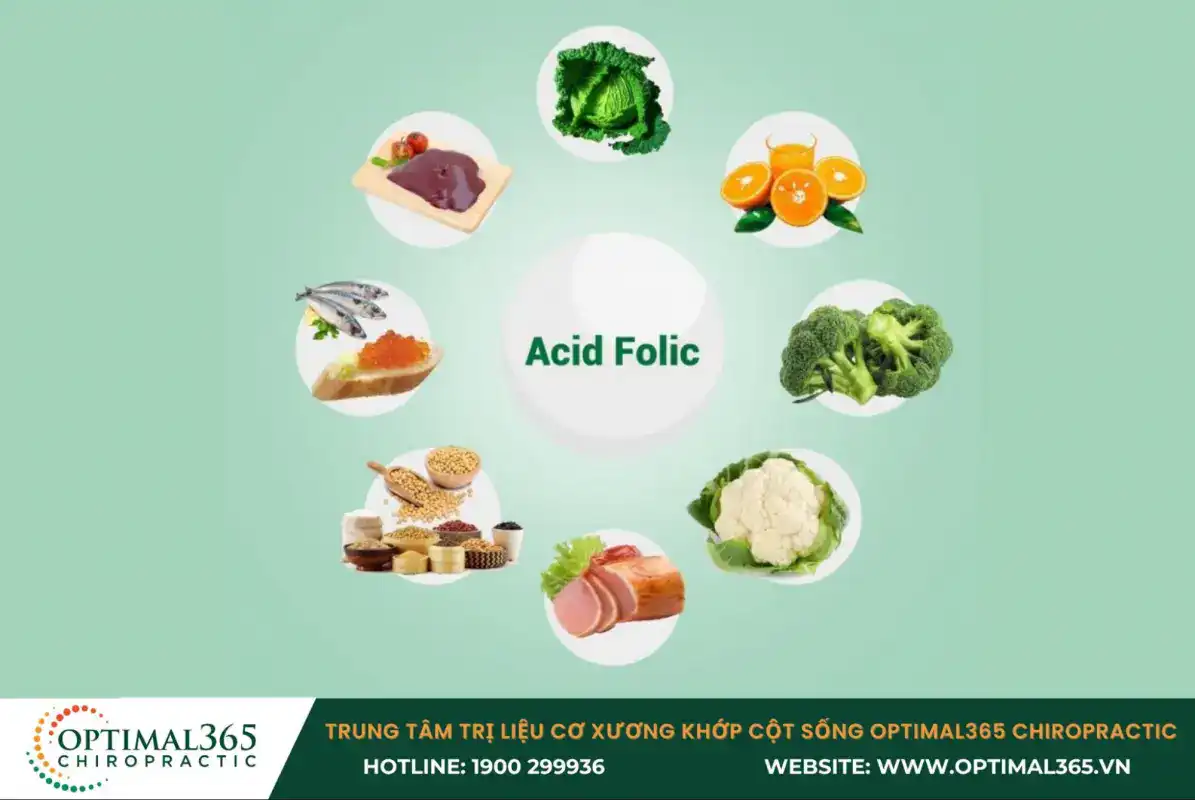 Bổ sung thực phẩm giàu acid folic vào thực đơn Bổ sung thực phẩm giàu acid folic vào thực đơn